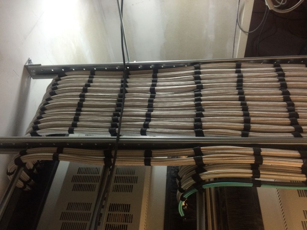 Cable trays with organized white cabling above a patch cabinet
