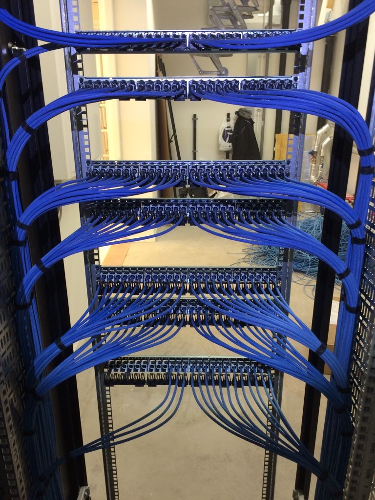 Blue cables fanned into the rear of patch panels