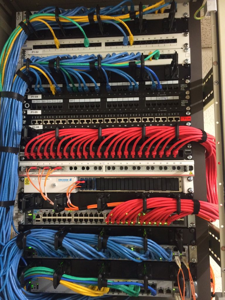 Dense purple terminations with a technician in the background